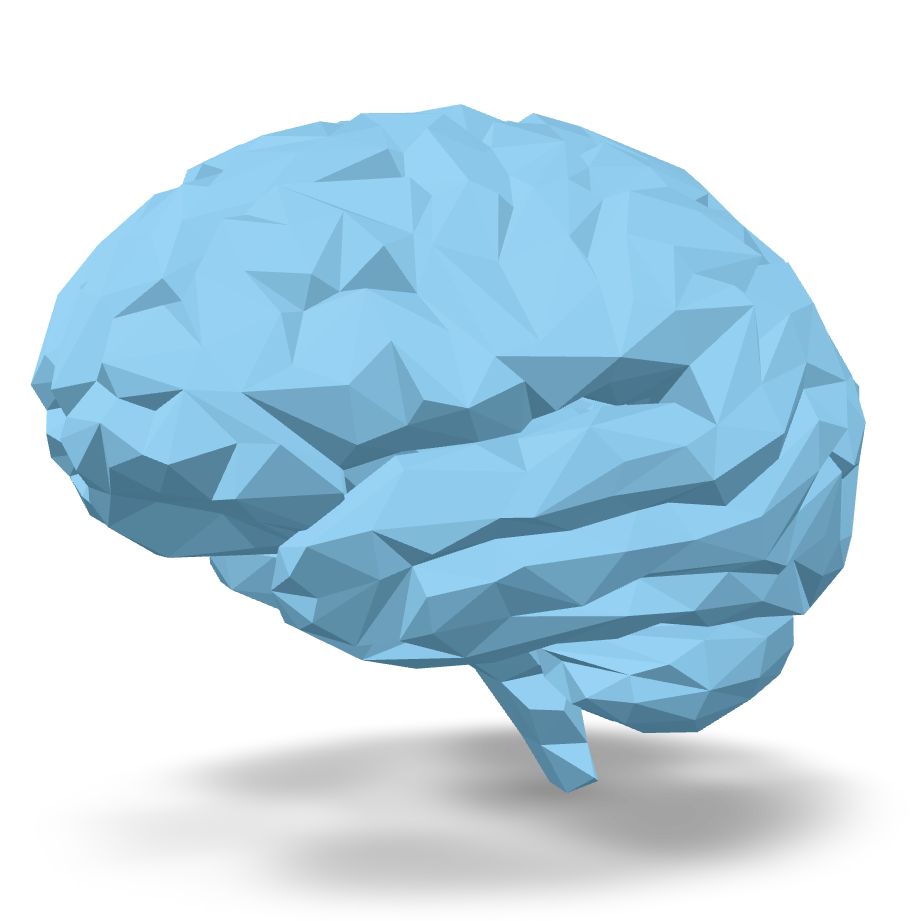 Low Poly Brain 3D Model
