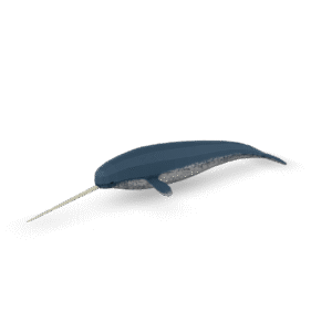 Low Poly Narwhal 3D Model