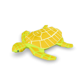 Low Poly Turtle 3D Model