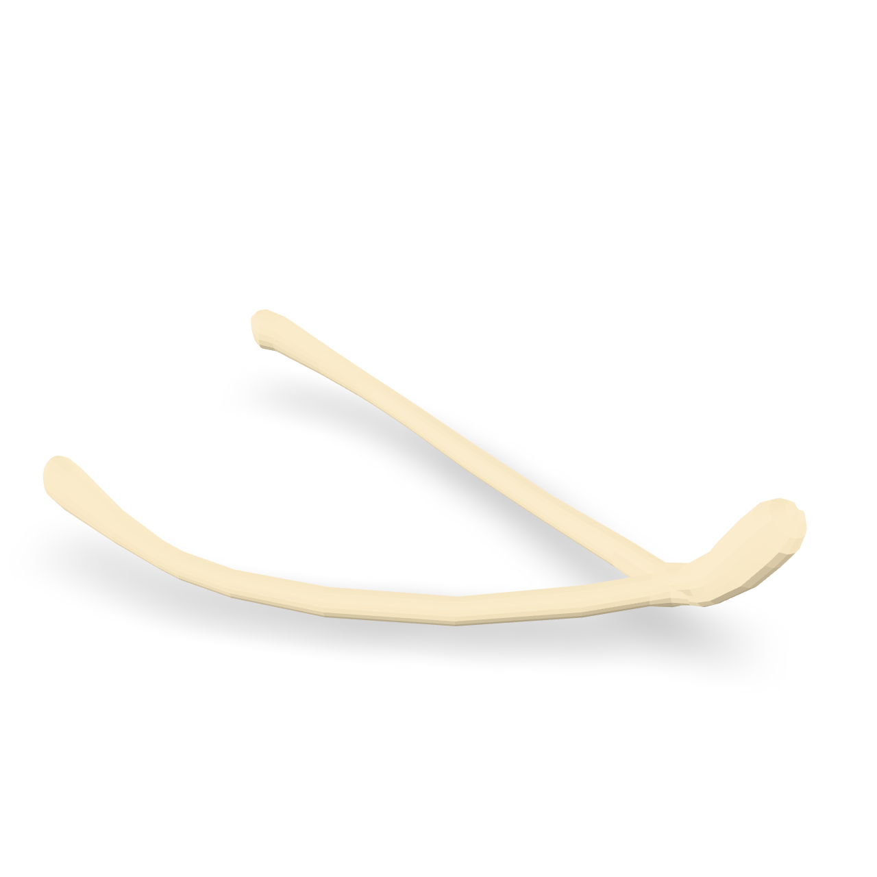 Human Clavicle Bone 3D Model