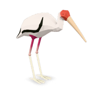 Low Poly Ibis 3D Model