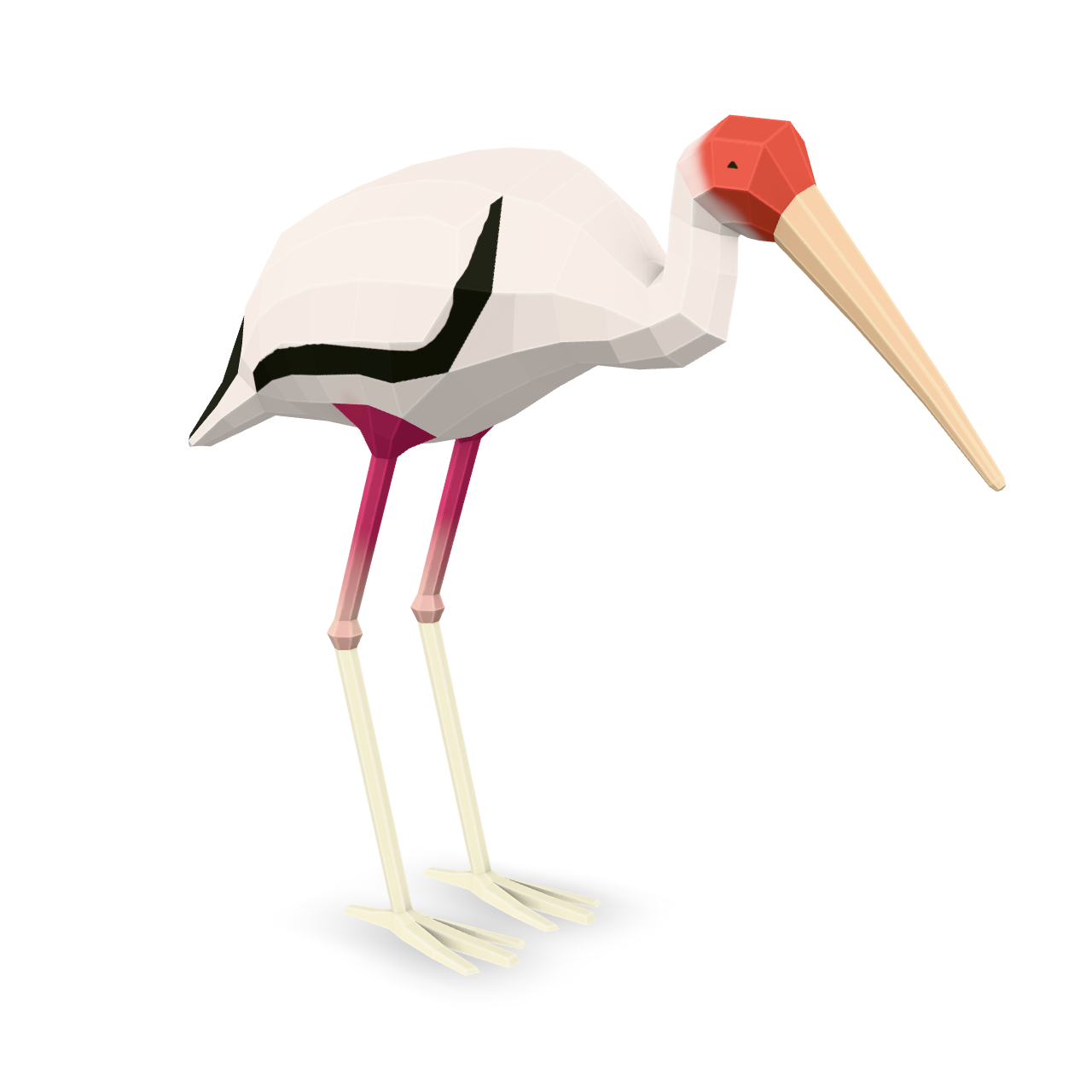 Low Poly Ibis 3D Model