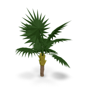 Low Poly Palm 3D Model