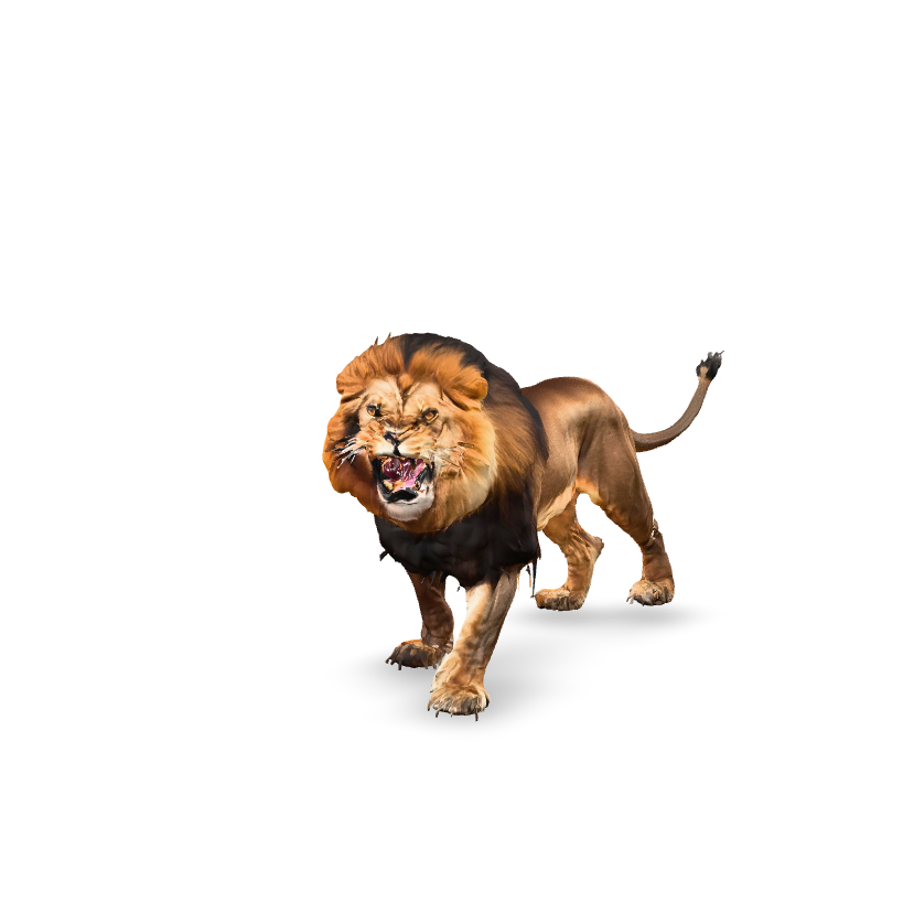 Roaring Lion Model 3D Model
