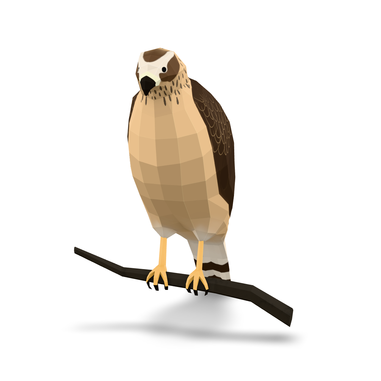 Low Poly Hawk 3D Model