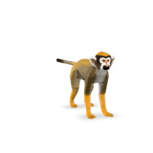 Low Poly Monkey 3D Model