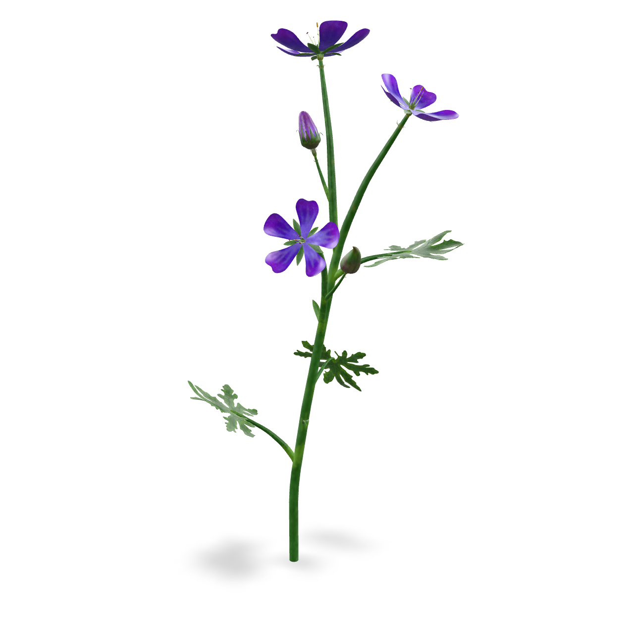 Purple Flower Branch 3D Model