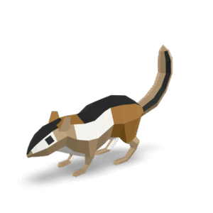 Low Poly Chipmunk 3D Model