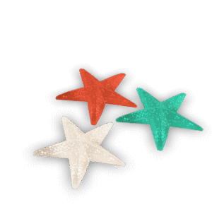 Stylized Starfish Trio 3D Model