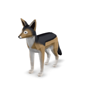 Low Poly Jackal 3D Model