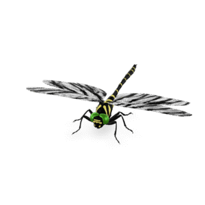 Stylized Dragonfly Model 3D Model