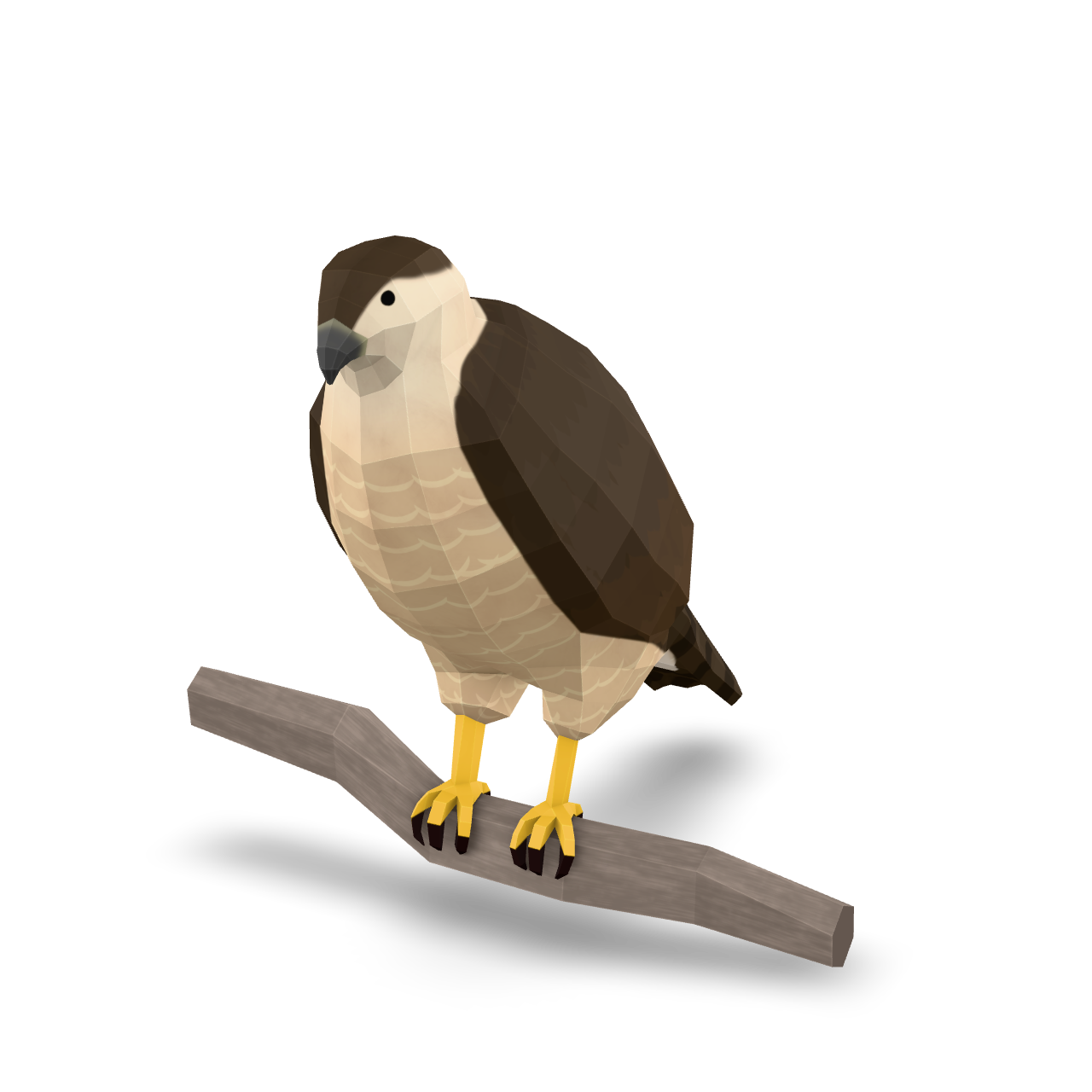 Low Poly Hawk 3D Model