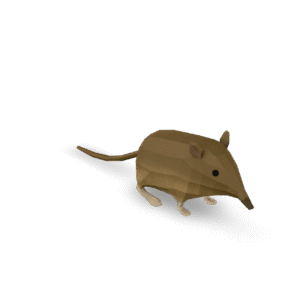 Low Poly Shrew 3D Model