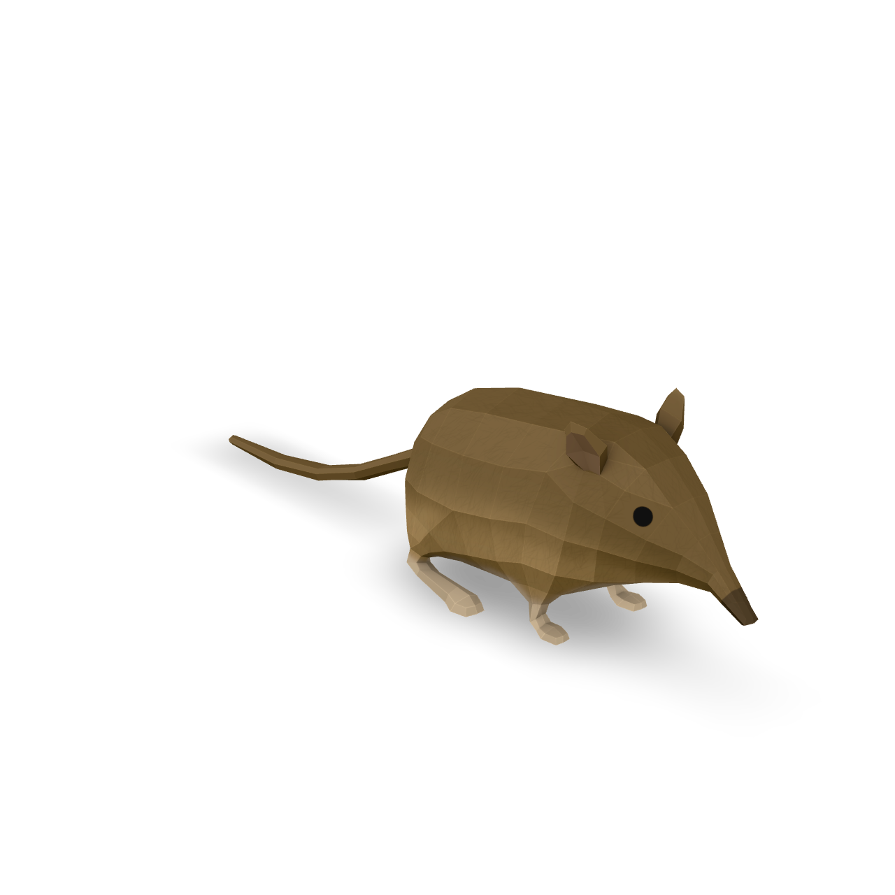 Low Poly Shrew 3D Model