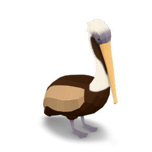 Low Poly Pelican 3D Model