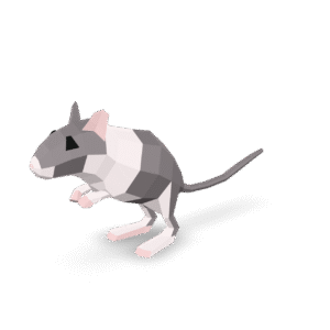 Low Poly Rat 3D Model