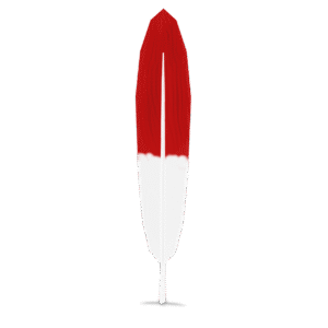 Painted Bird Feather 3D Model