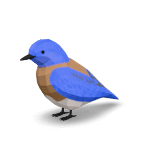 Low Poly Bluebird 3D Model