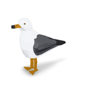 Low Poly Seagull 3D Model