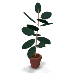 Low Poly Ficus 3D Model