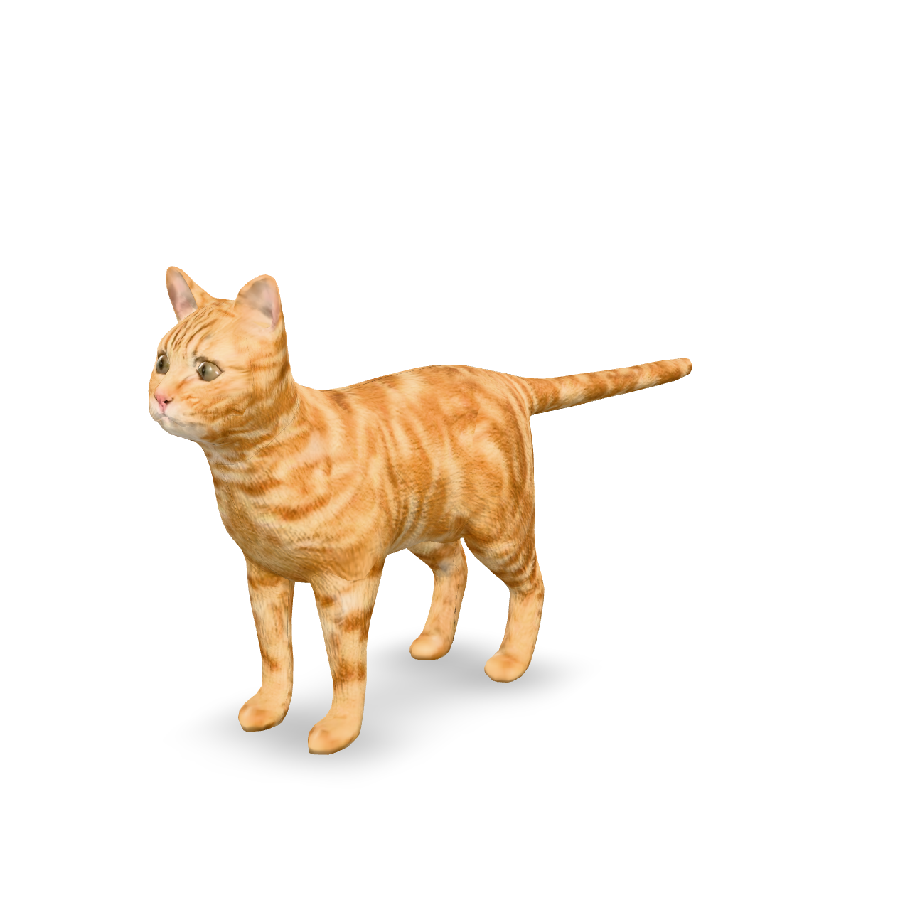 Ginger Tabby Cat 3D Model