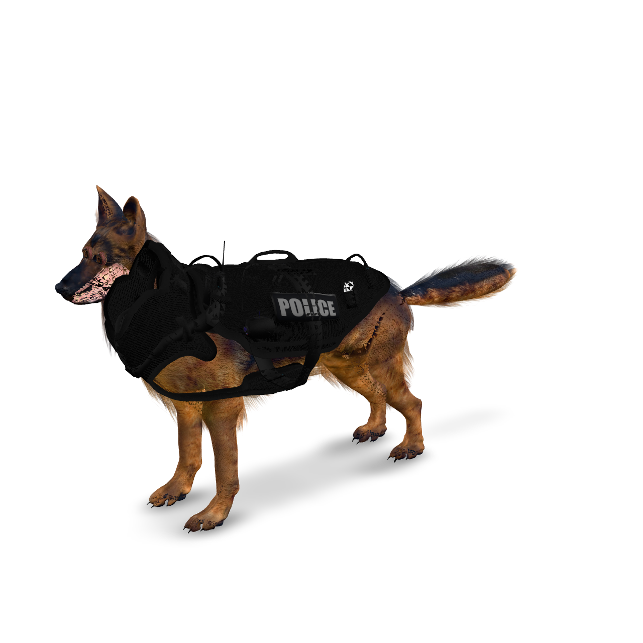 Police Dog Animated 3D Model