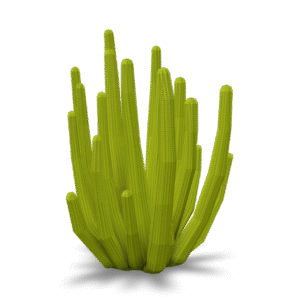 Stylized Cactus Cluster 3D Model