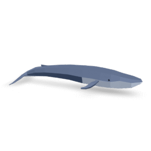 Low Poly Whale 3D Model