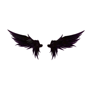 Dark Angel Wings 3D Model