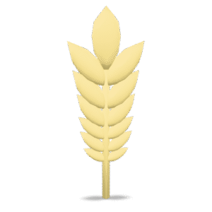 Wheat Stalk 3D Model