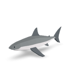 Low Poly Shark 3D Model