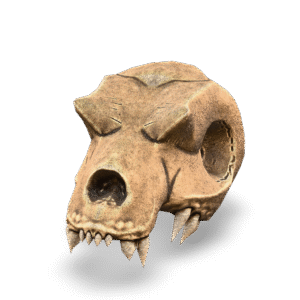 Dinosaur Skull Model 3D Model